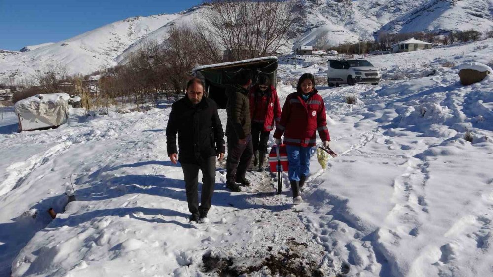 Van’da zorlu kış şartlarına rağmen hayvanlar ihmal edilmiyor