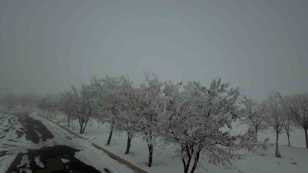 Bitlis’te kış erken geldi: Ağaçlar ve araçlar buz tuttu