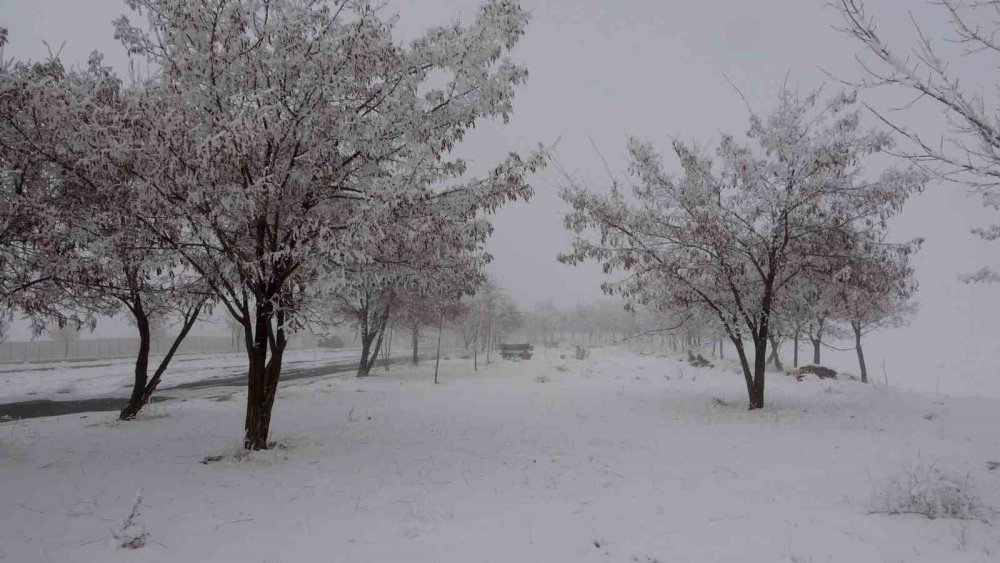 Bitlis’te kış erken geldi: Ağaçlar ve araçlar buz tuttu