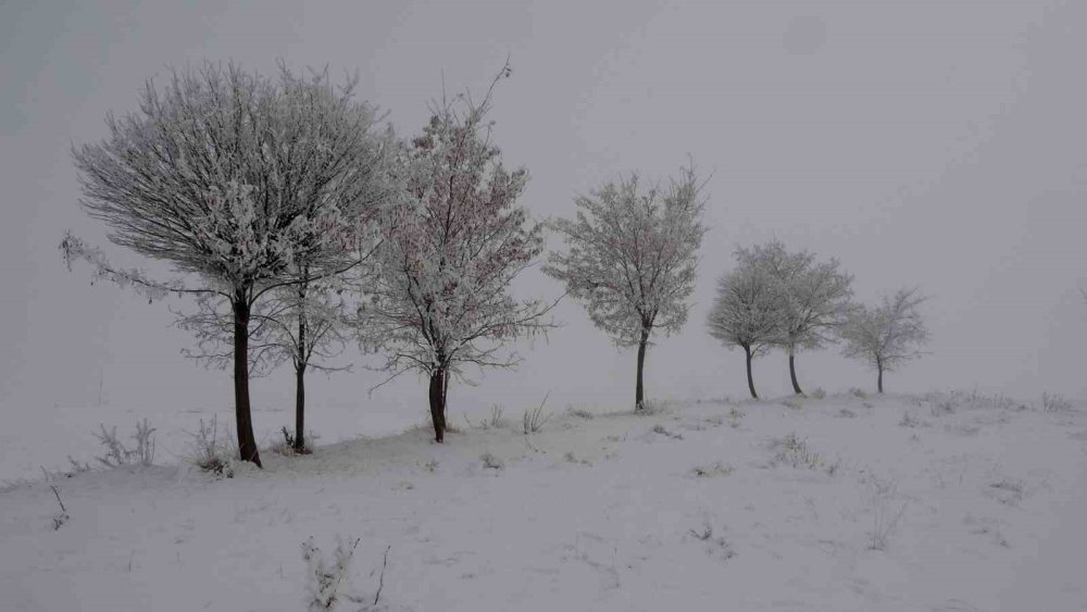 Bitlis’te kış erken geldi: Ağaçlar ve araçlar buz tuttu