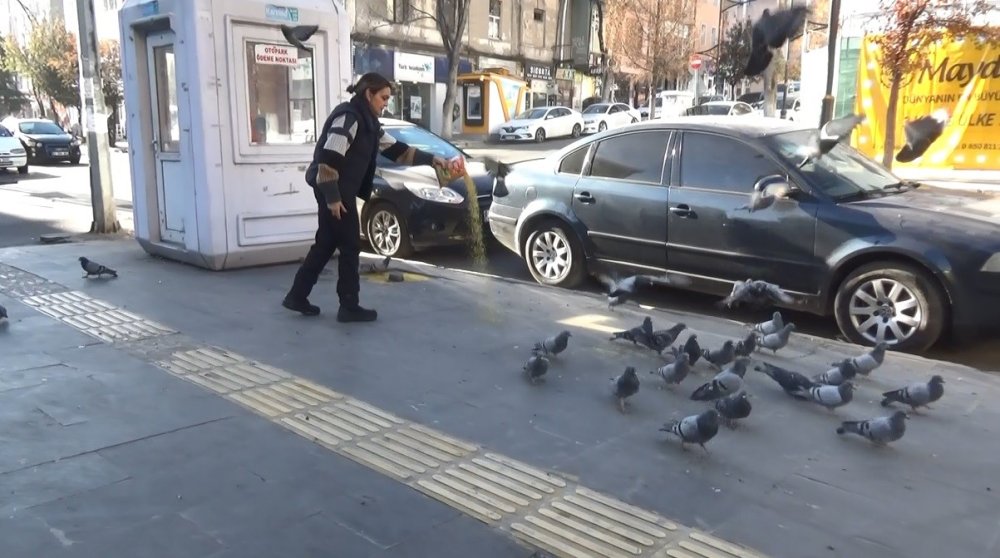 Kars’ta dondurucu soğuklar hayatı zorlaştırıyor