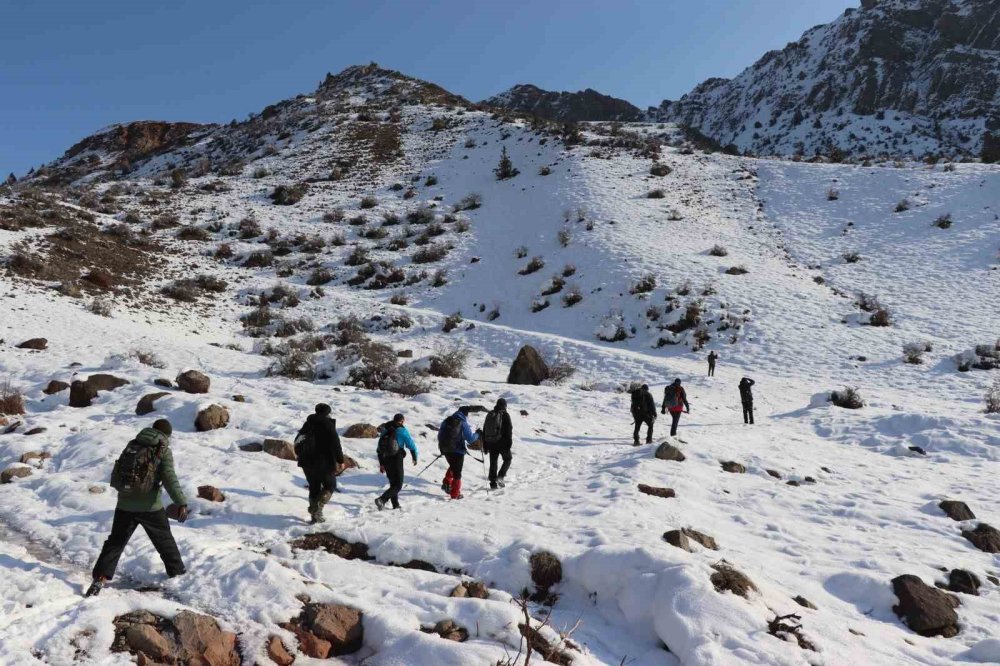 Erzurum’da doğaseverlerden yaban hayatına destek