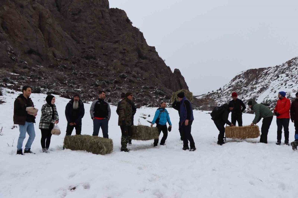 Erzurum’da doğaseverlerden yaban hayatına destek