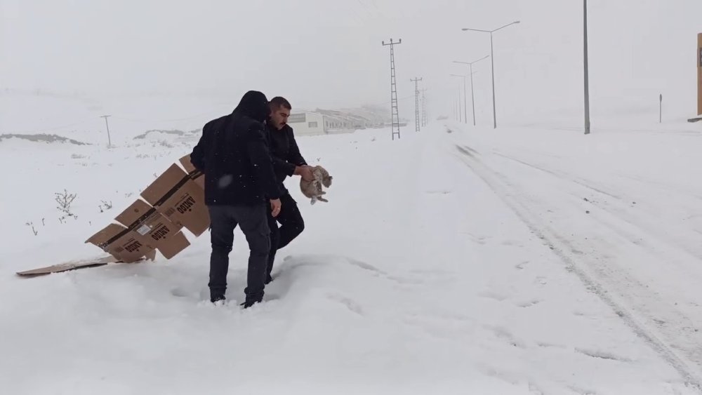 Erzurum polisinden sokak hayvanlarına şefkat eli