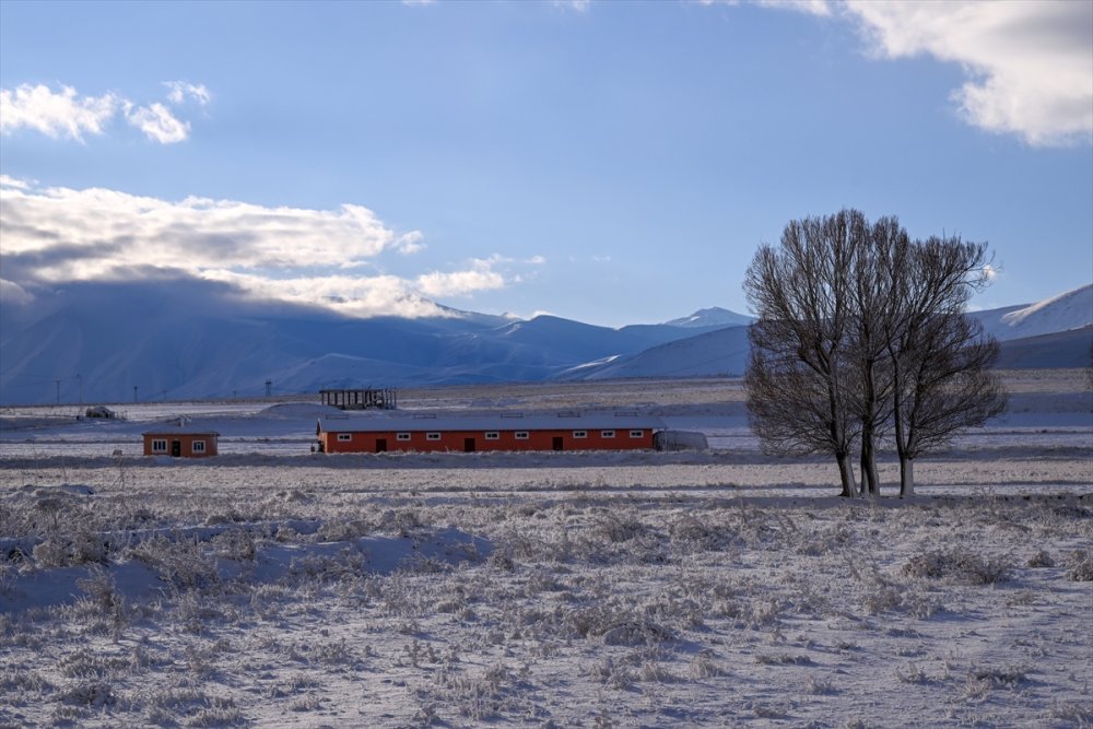 Van ve Bitlis'te kar nedeniyle 152 yerleşim yerinin yolu kapandı