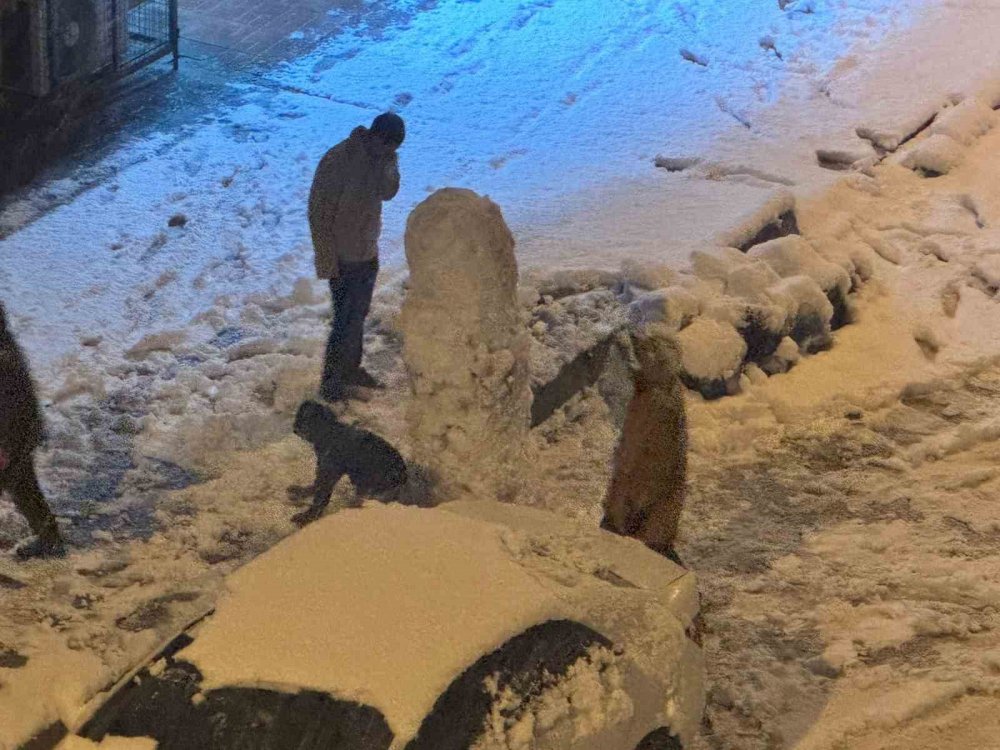 Van’da kar çocuklara eğlence, ulaşıma engel oldu