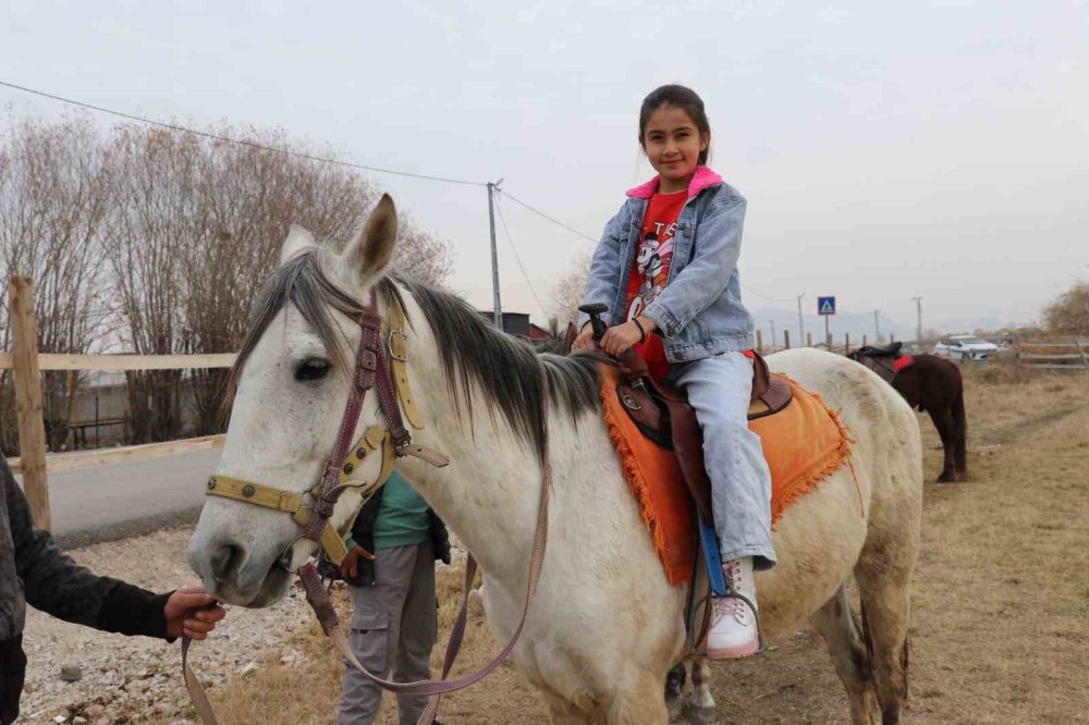 Van'daki at çiftliği her mevsim ilgi odağı oluyor