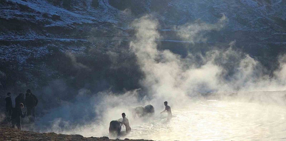 Bitlis'te eksi 15 derecede atların kaplıca keyfi