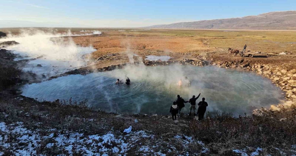 Bitlis'te eksi 15 derecede atların kaplıca keyfi