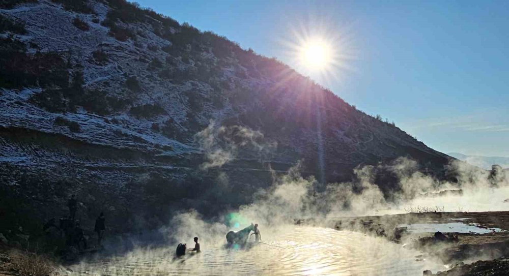 Bitlis'te eksi 15 derecede atların kaplıca keyfi