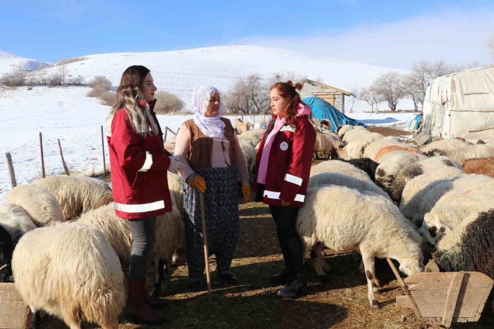 Hayvancılığa kadın eli değdi: Van’da kadınlar üretimin başrolünde