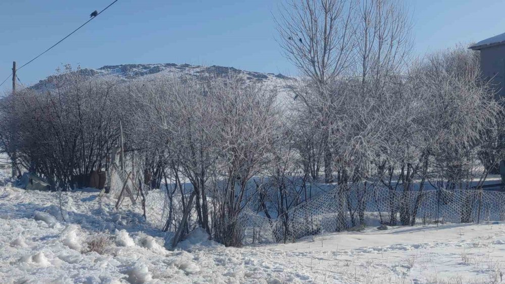 Van'da dondurucu soğuklar