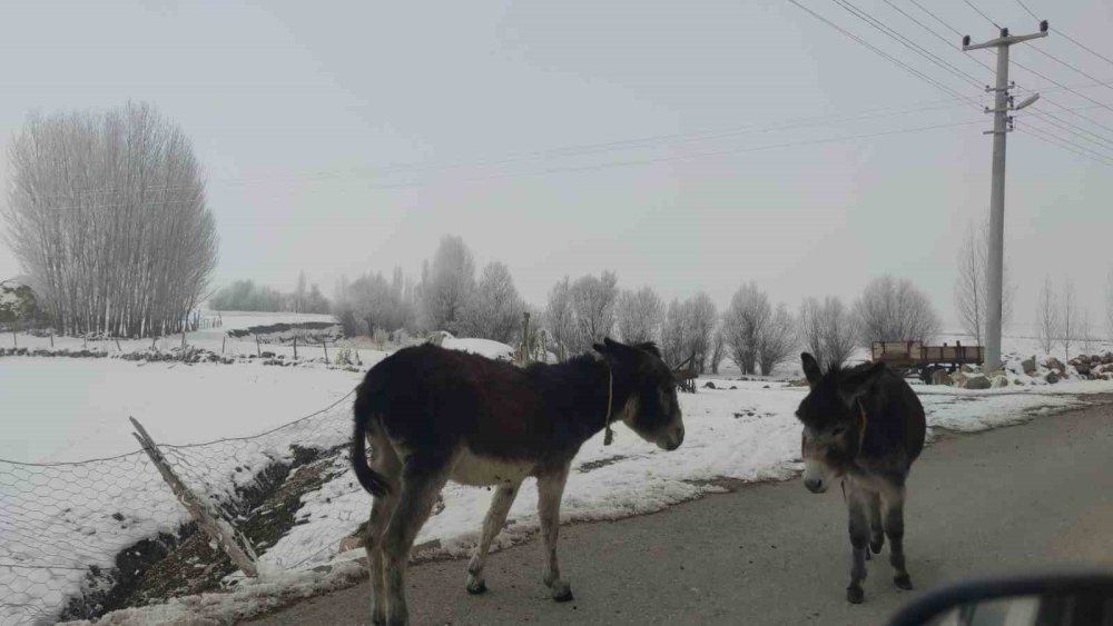 Van'da dondurucu soğuklar