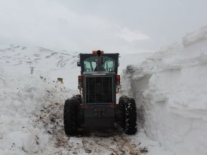 Ağrı'daki Köy Yolları Açıldı